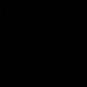 Meet your Posher, Olyvia